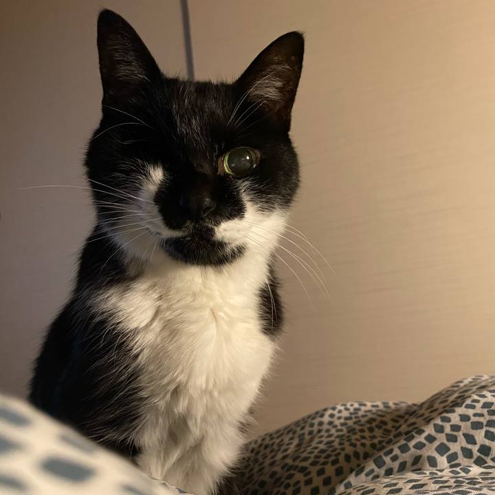 4ad7832a ca3b 44e8 a4a6 80a46429e8c7 1763899754186