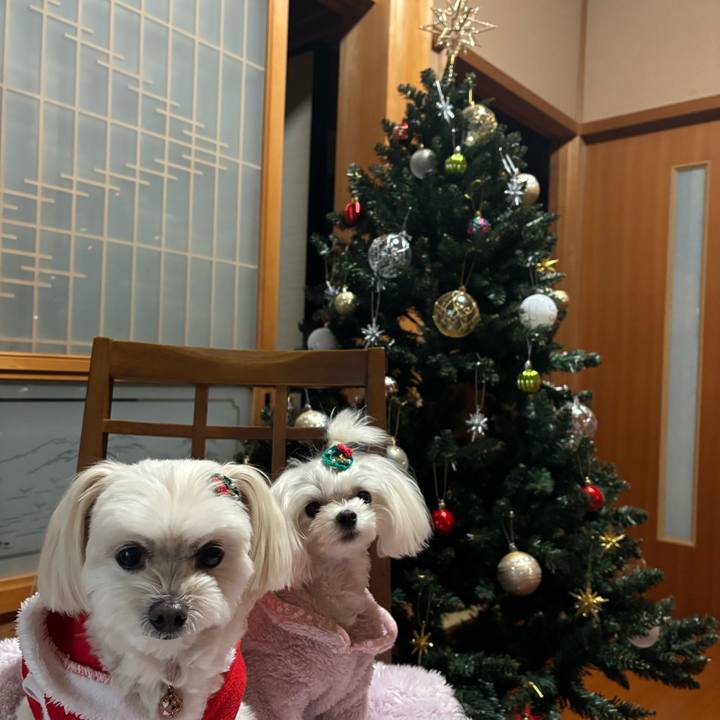 4ad7e909 ffb9 46fe 8a06 4a7843f179ad 1735114766504