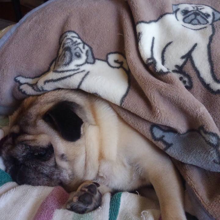 4ad7fb19 548d 4657 92e5 bfed758c39b1 1517053105463