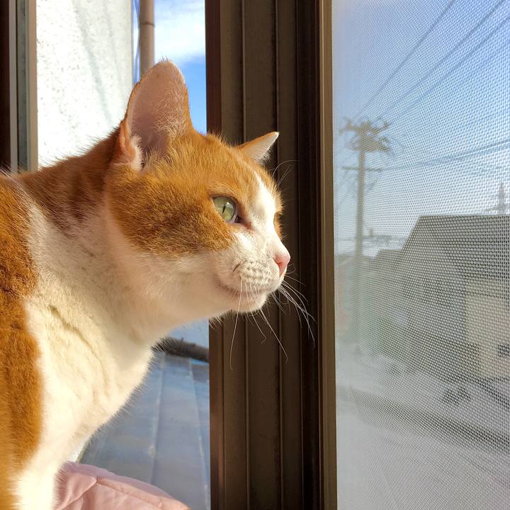 4ad801f1 ac9e 4433 8ced 0d94b068332f 1614060091695