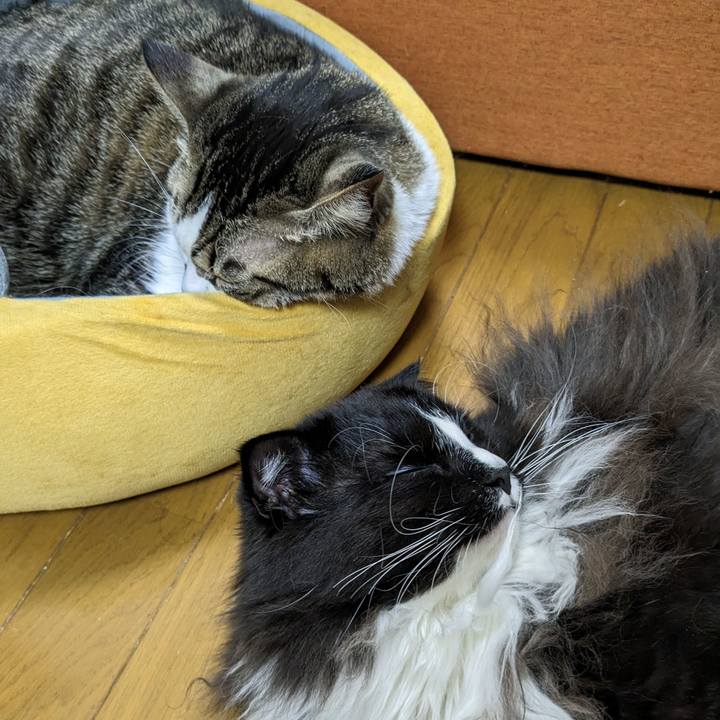 4ad826cf 6ae7 4484 b069 e1870bb83af7 1671695565398