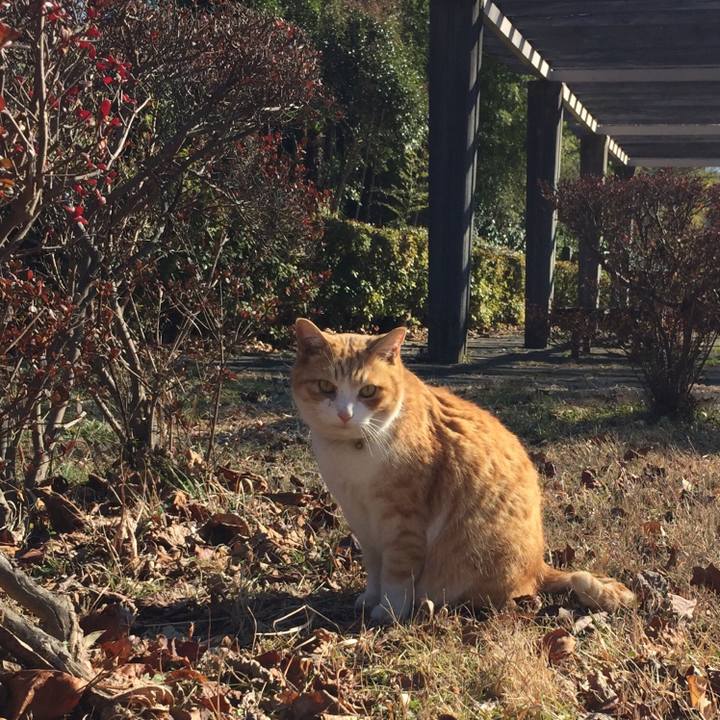 4ad84dd9 d766 4381 8402 9a970a39b30c 1515744935430