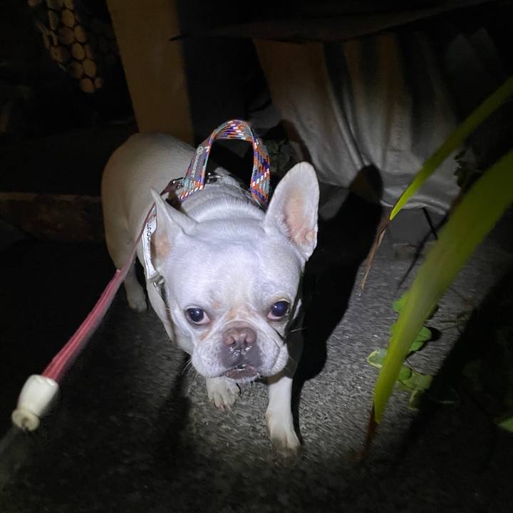 4ad86c4b e9af 45a4 8a21 efcd060462ee 1757373940196