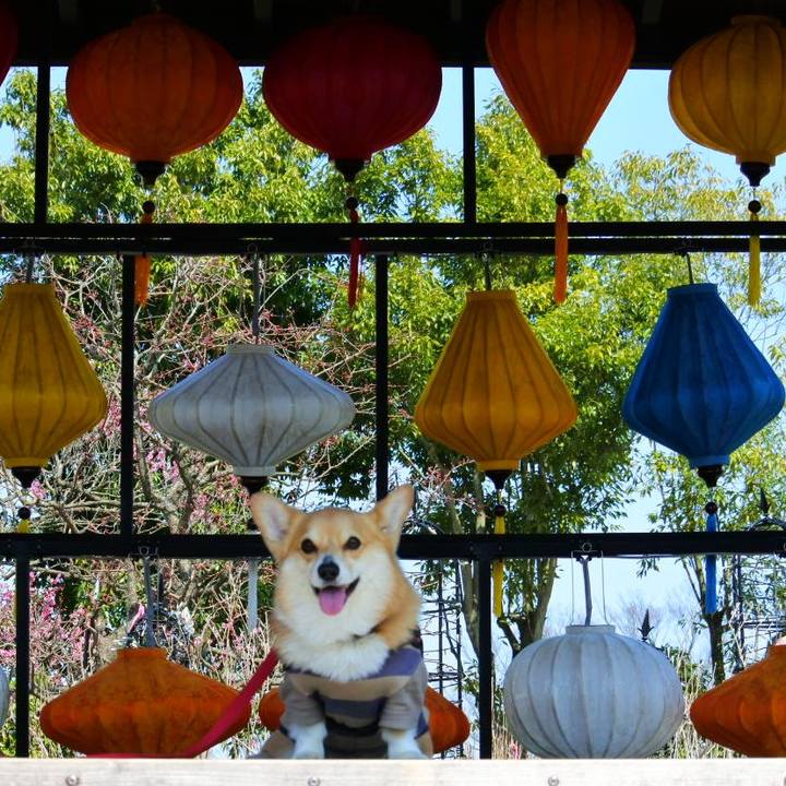 4ad891db 0786 475f 8397 39d464d406a9 1616851850361