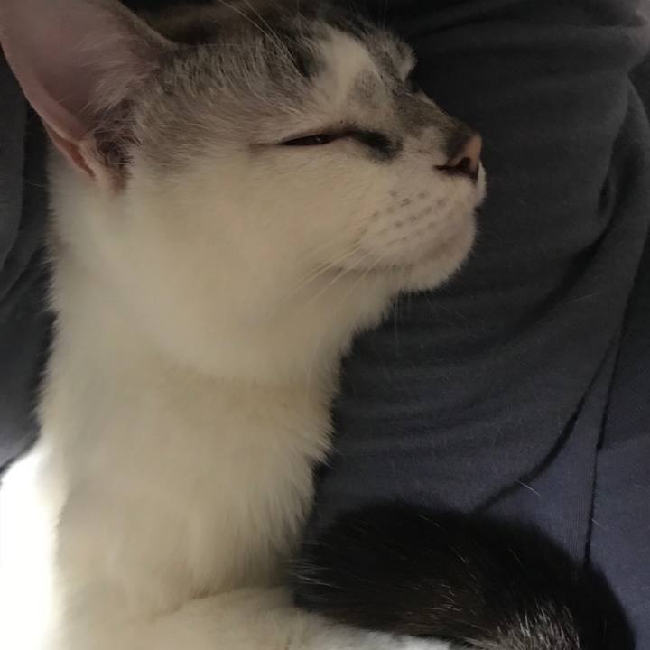 4ad89d36 0065 46e5 8363 3ac868ae42db 1521210269939