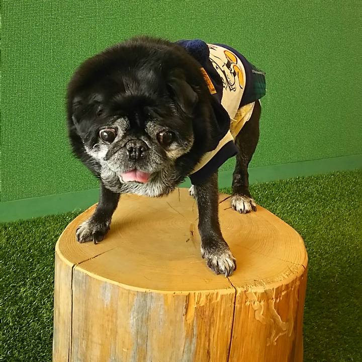 4ad8c6e9 6c72 490c 82bb d434100e187c 1573097238766