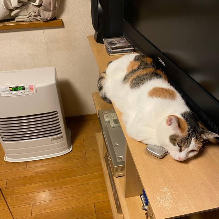 4ad8cf8d 3d5e 4f46 b55a c72e5314d12a 1767096504716