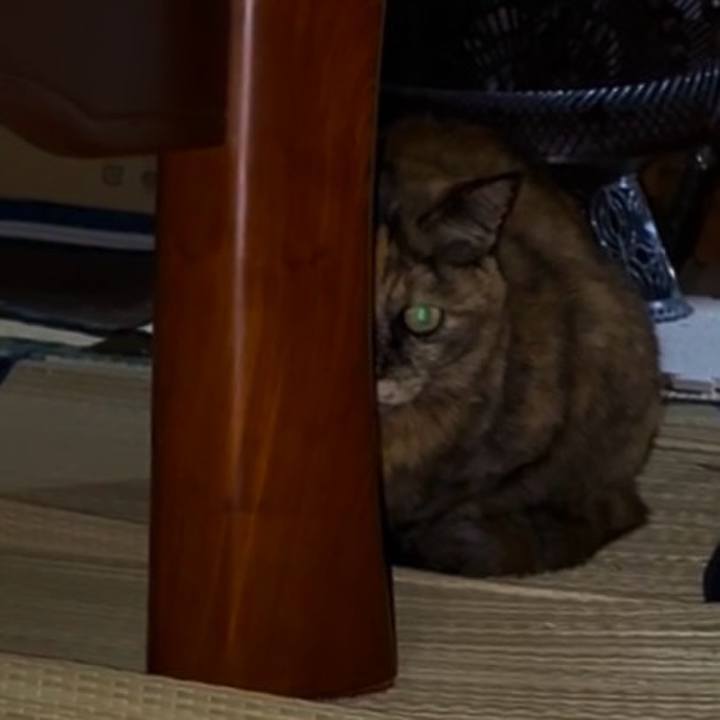 4ad8dfa7 7a7b 46ef 8530 4bd1f24a96dc 1770841592527