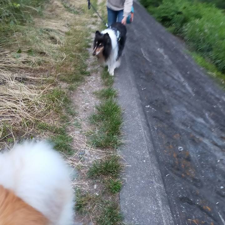 4ad8e620 1ad4 47f6 8a9d 569c054895d2 1622726090371