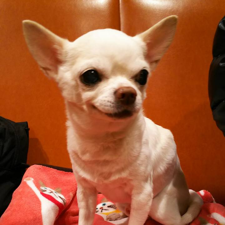 4ad90dbf cd8f 402e b819 bbb8eb7b6eaa 1519990802335