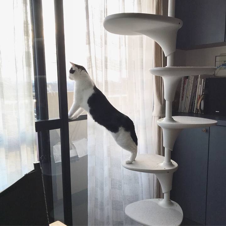 4ad920c2 b6ca 4958 9665 ab33160ed5f2 1522241158070