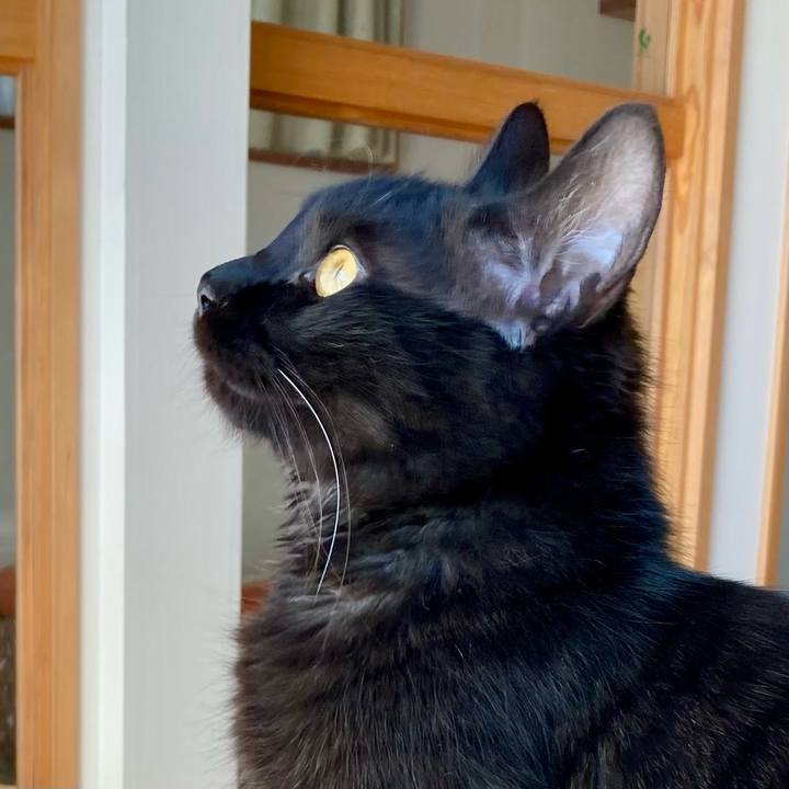 4ad93075 d590 46d1 8842 5f8f608cff9c 1707900948826