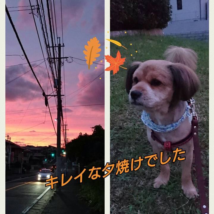 4ad944b1 34d0 4483 bc6c 890653356bcc 1539251431564