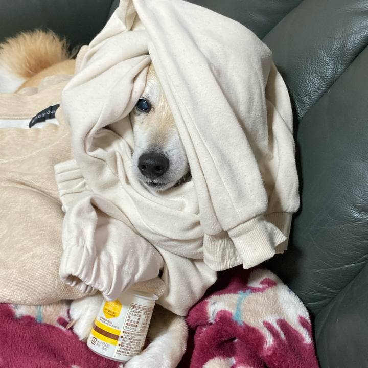 4ad97010 cca3 4b38 91da 353e9e654a23 1618836612678