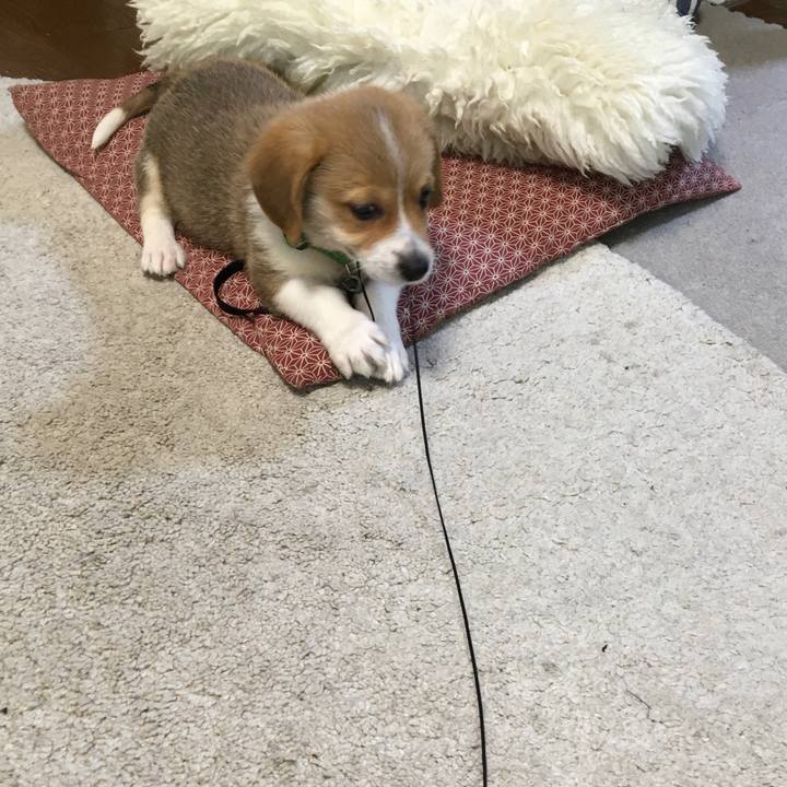 4ad99667 cd01 4bf5 a800 edd4b91694cb 1589242730376