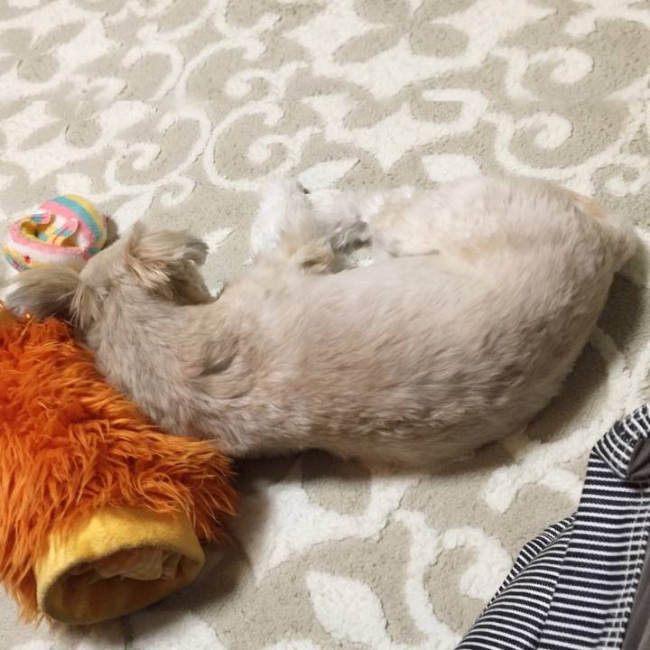 4ad9aed0 60b6 4211 a965 af4ed6017368 1547291134300