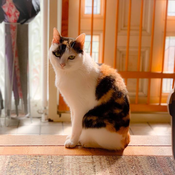 4ad9e5c3 253b 4c4d b7d2 703659d9117a 1562204162250