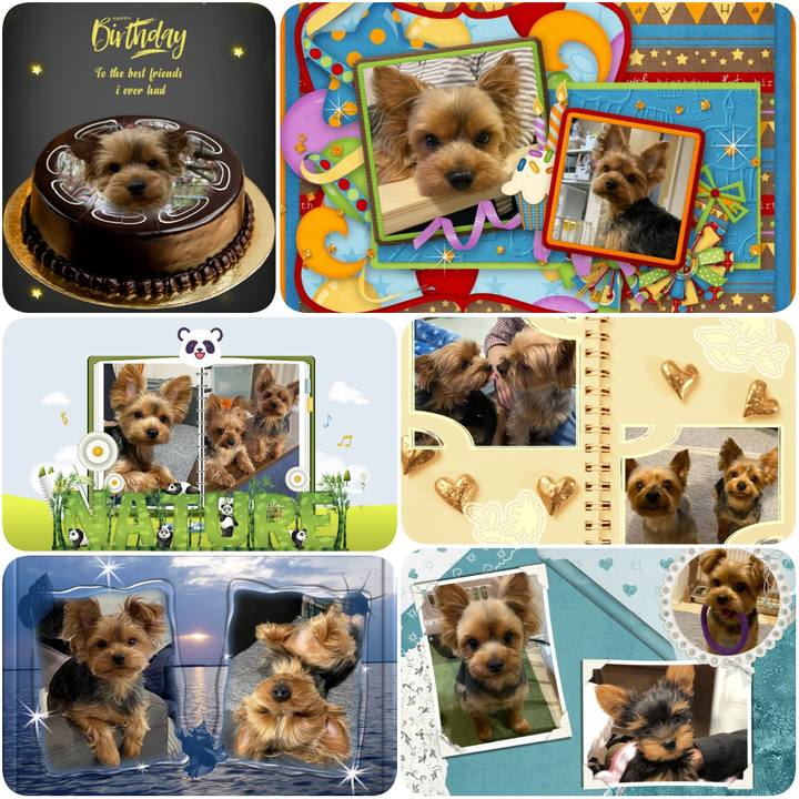 4ada0619 3c23 4835 bcba 0521b76dcf67 1632777385603