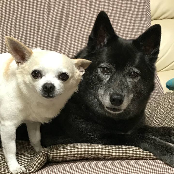 4ada2534 984b 4336 86cb 67f23b9bacb2 1531576042181