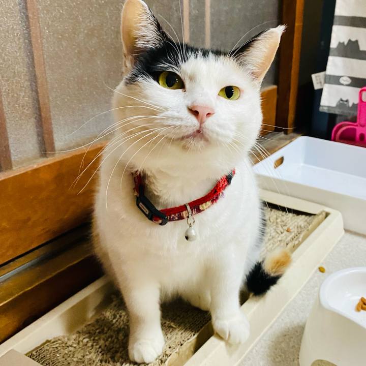 4ada636e d4c0 45a6 b307 9225d19cc889 1665316111709