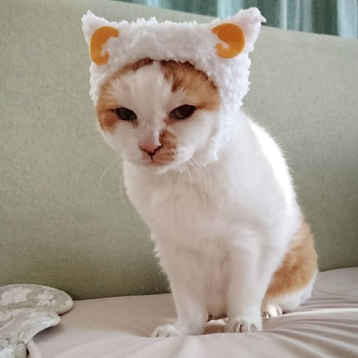 4ada6c9d fce0 45d0 aa8f c83b8a6ce57d 1629892452967