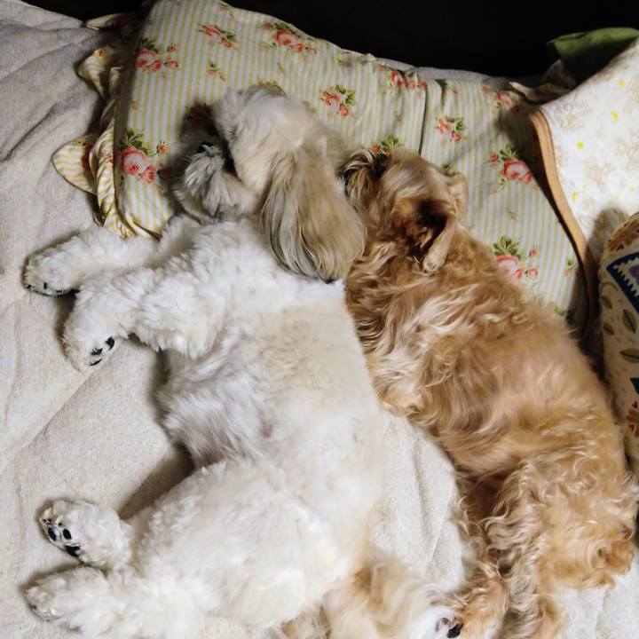 4adabbdf bb61 4ec7 b659 a97481c12791 1658240288427