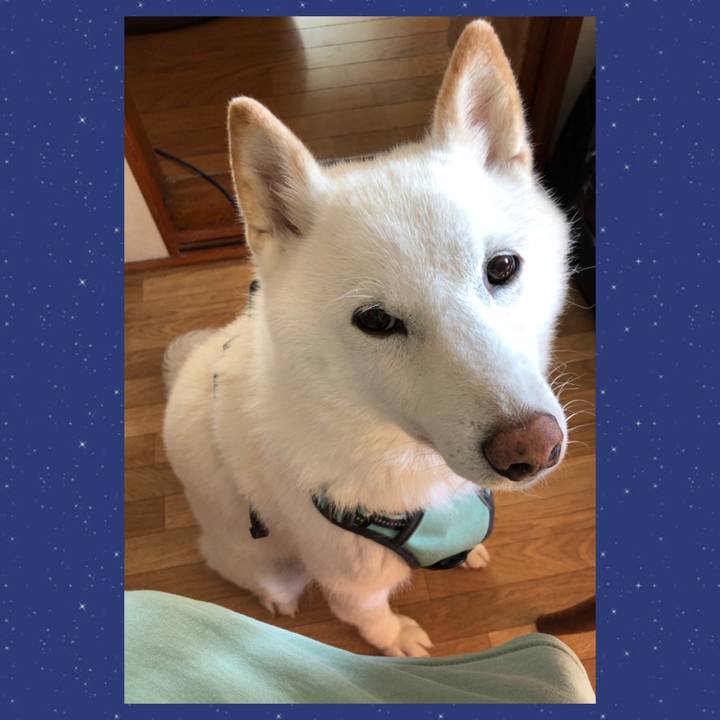 4adad7db 2686 4ec1 b074 87bbf04a5bc4 1690004925754