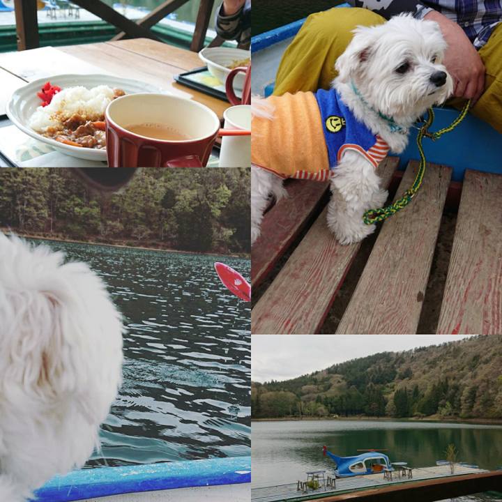 4adb0936 8ce6 41c4 8978 1f3039beacc4 1556580439342