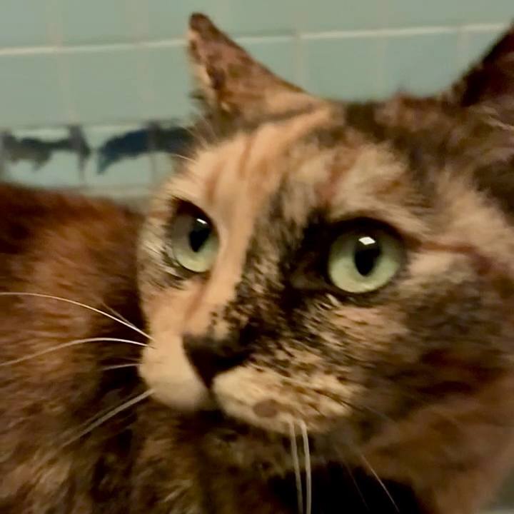 4adb0d77 aae4 4113 a4bf ff5ee4abbdee 1764015956519