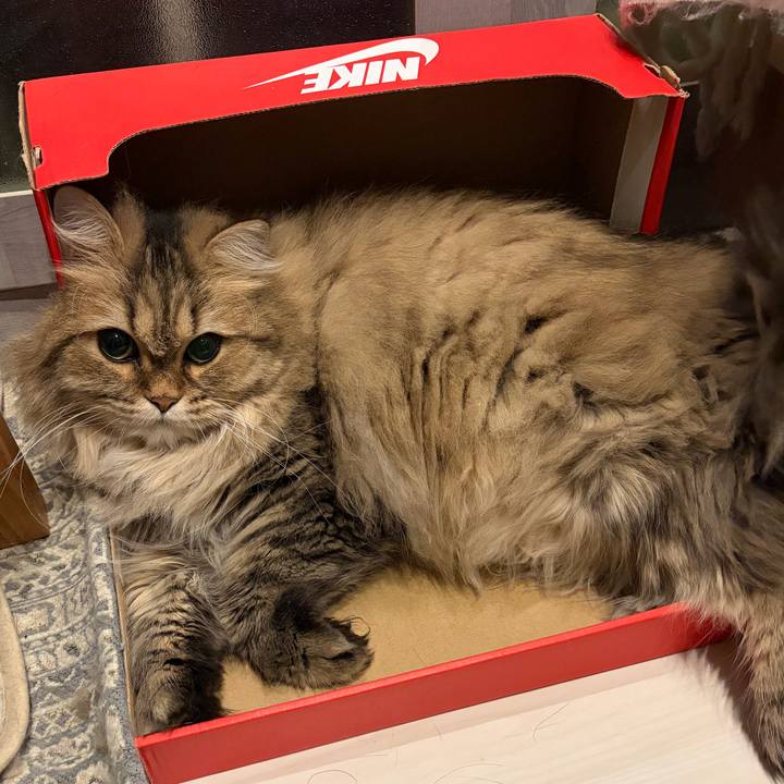 4adb39c8 6970 46e4 8e93 7f9259b1cf25 1774135853524