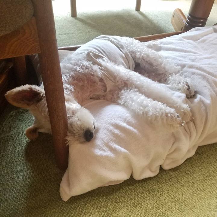 4adb4905 b63d 457b b1f1 dbd9fdf2ab0d 1592348622772