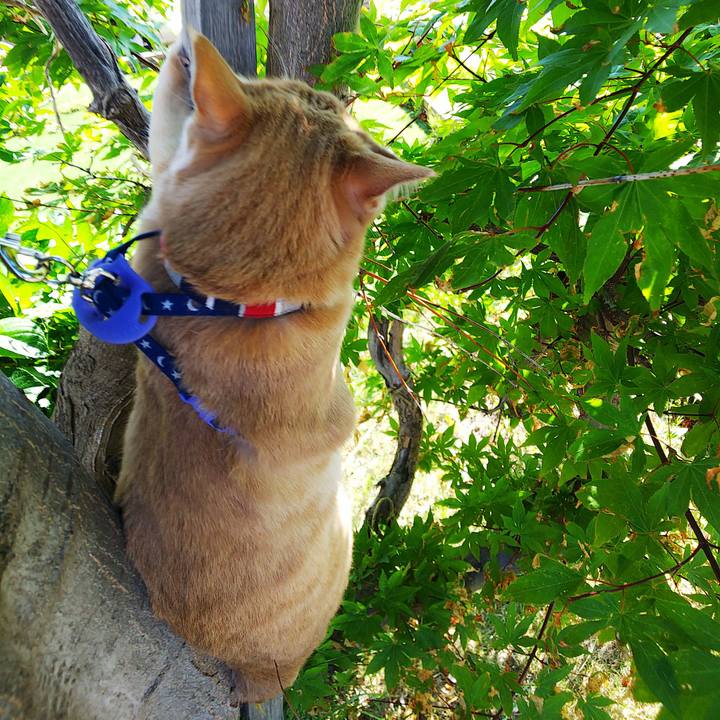 4adb4f75 e468 480d 9f6d 961130dfdb95 1562390177699