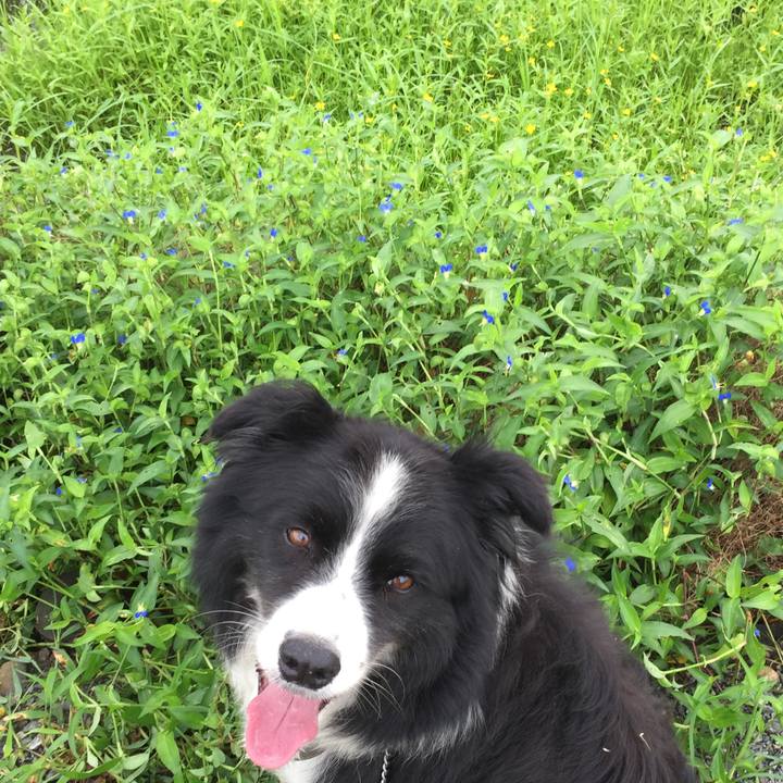 4adb6ce4 117e 4f40 8c7b 12c6acb90dba 1567038901781