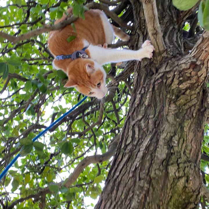 4adb842e a19e 4a0d bf06 24b7781f2cb9 1583629580160