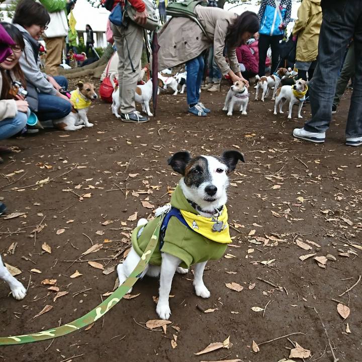 4adb9656 495a 4a2b 8fea 95ff44fc1e7a 1509157570271