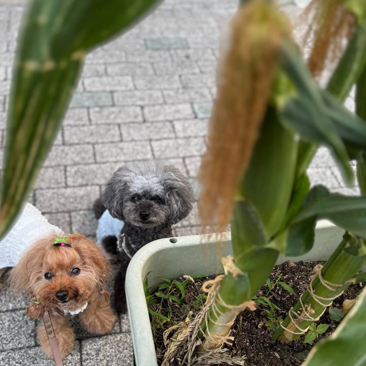 4adbdb64 0d2c 4df1 a776 023d2d6b5c59 1751929280508