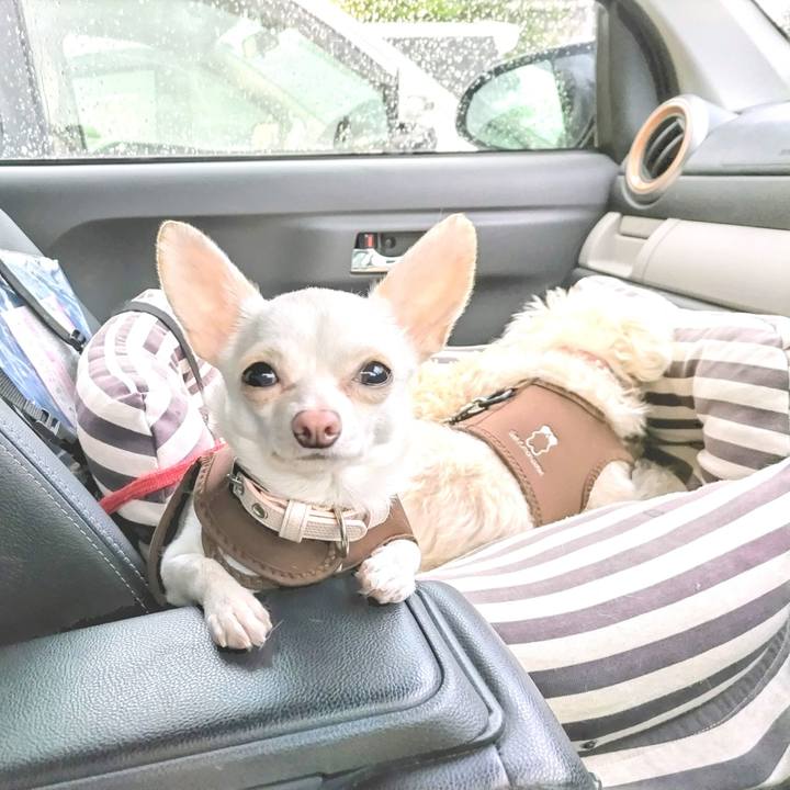 4adbf02a 1981 4c3d 8c10 1fafb20a6c96 1715173726472