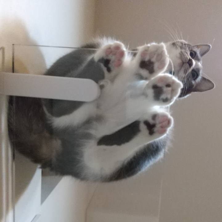 4adbffd0 3a54 46f5 a490 4635e0ea0a51 1636791201055