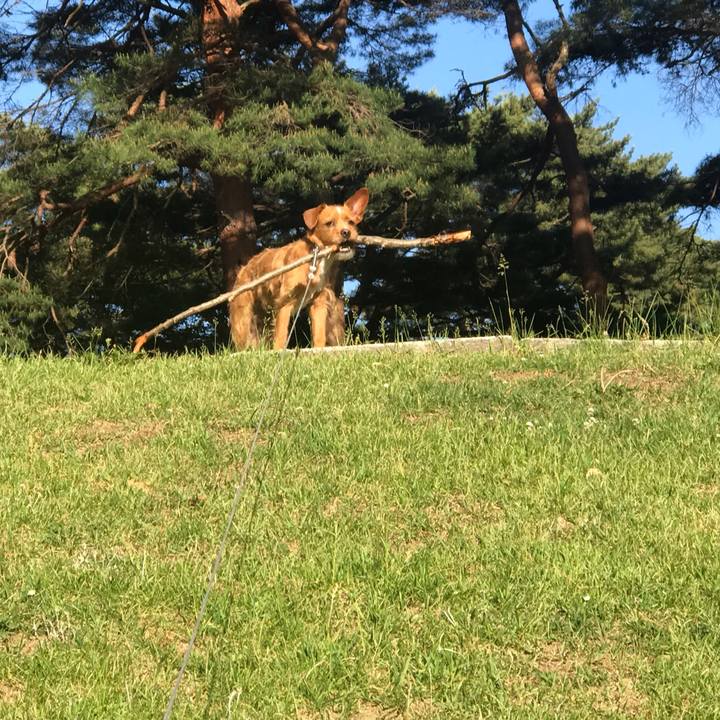 4adc346e cbdd 4b5a 80bf f65e00a43073 1559119700200