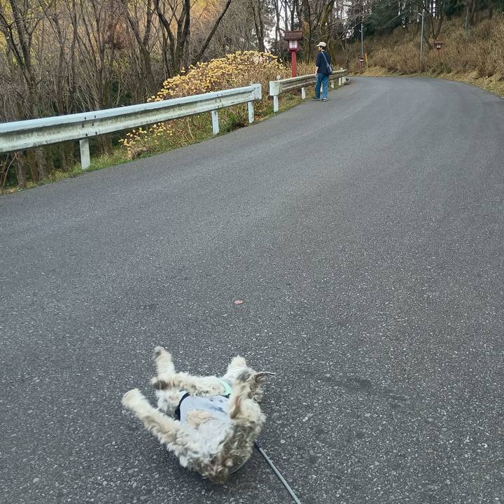 4adc4745 c683 4435 a42a e817ba045589 1774356816888