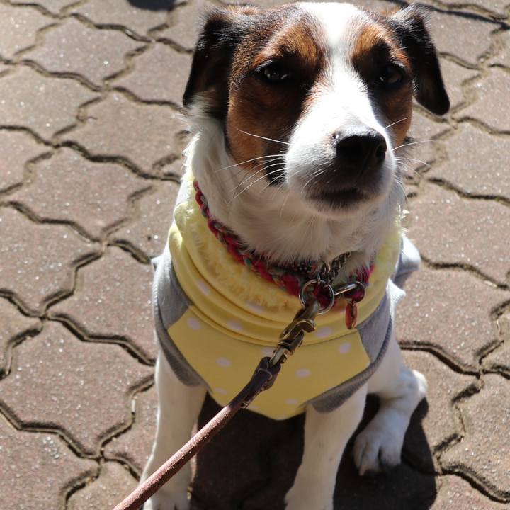 4adc533e 0805 4ef9 bb92 f089eae3a0a5 1517977741259