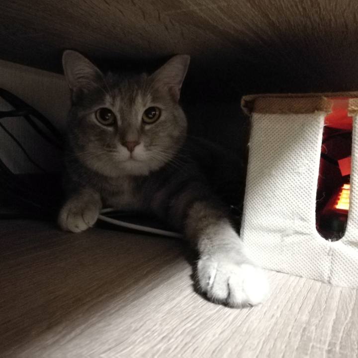 4adc6cd6 d9c2 427a abe5 f2baf3df098b 1530667445299