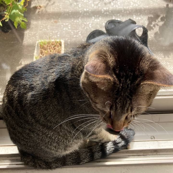 4adc9442 69fb 4a4e a8b9 5eff9ccc280f 1762730465112