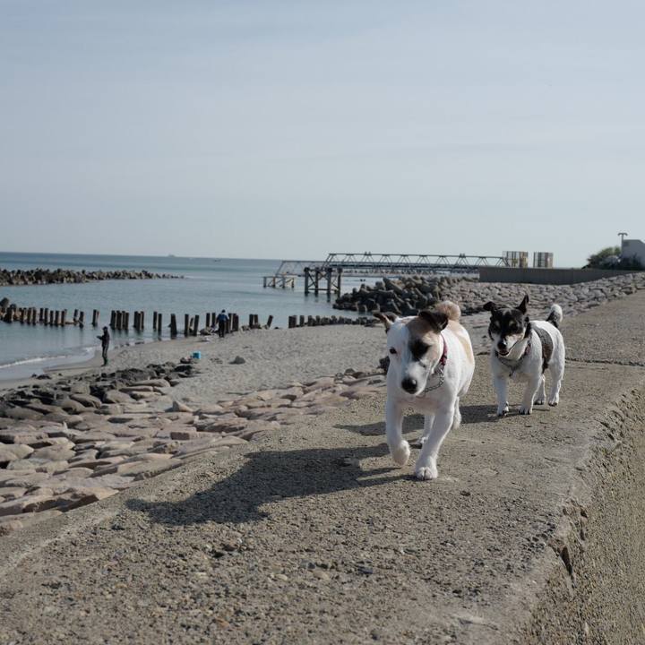 4adcb24f a87d 4b89 acc4 c0399e1acba5 1558151851234