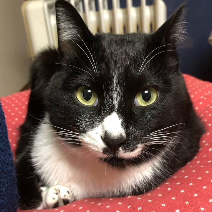 4add3030 316b 4715 b6b4 6230146243d5 1544673004851