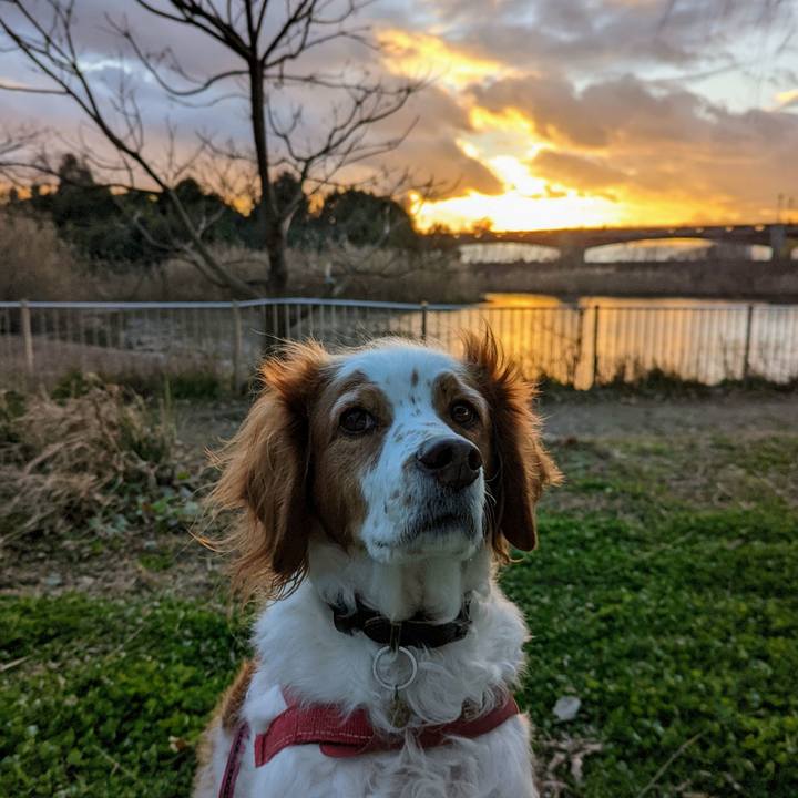 4add31d7 cbcd 450d b699 fb5027a54725 1642160368721