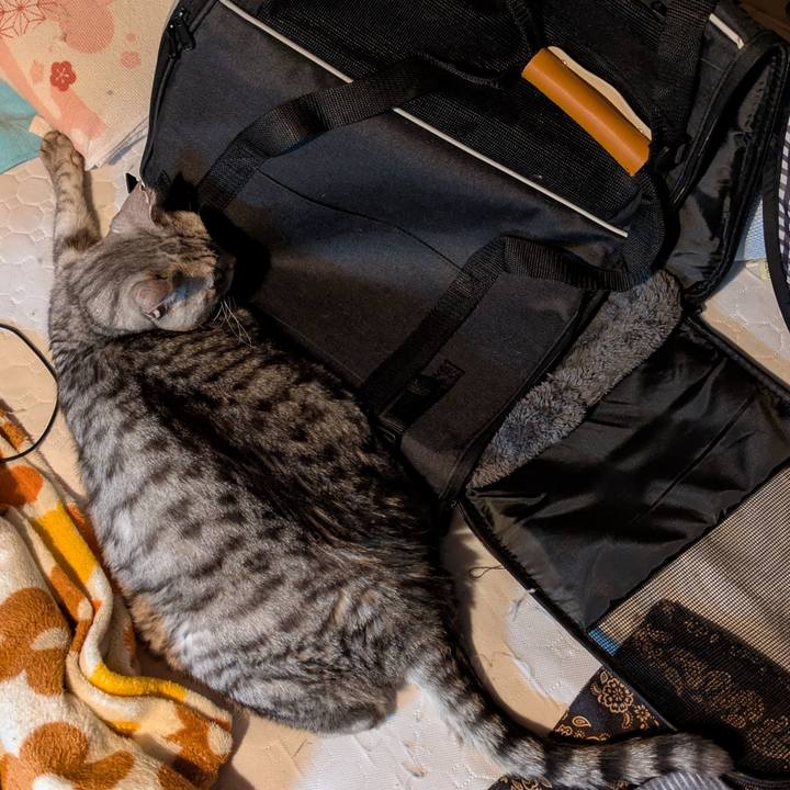 4add3680 bb24 4f40 adab 8154fbbd5ef9 1764783872134