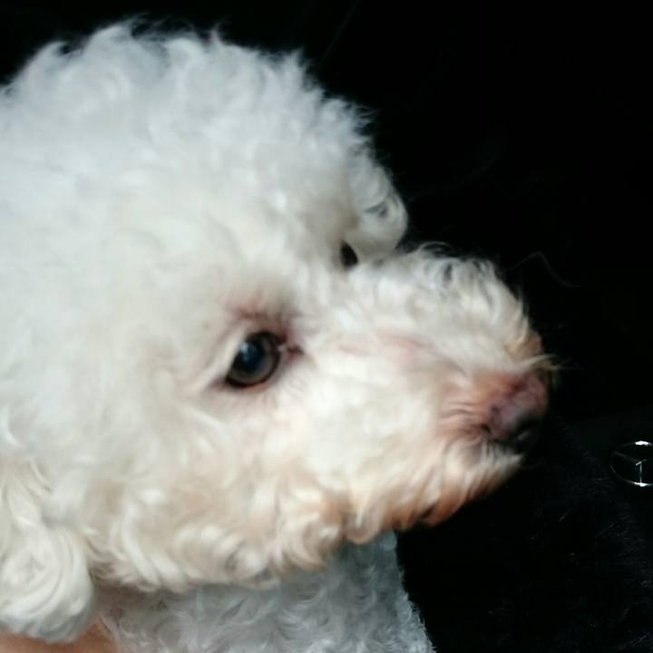 4add52c2 0ff2 4d6f 8839 071dac723ce4 1511749356214