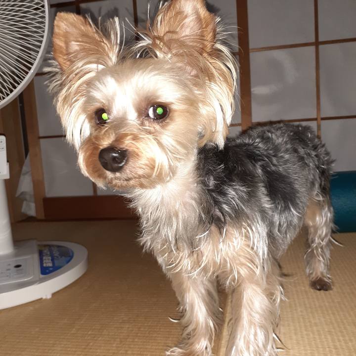 4add9d9d 122c 4f3b b25a b769aecd923e 1593338985495