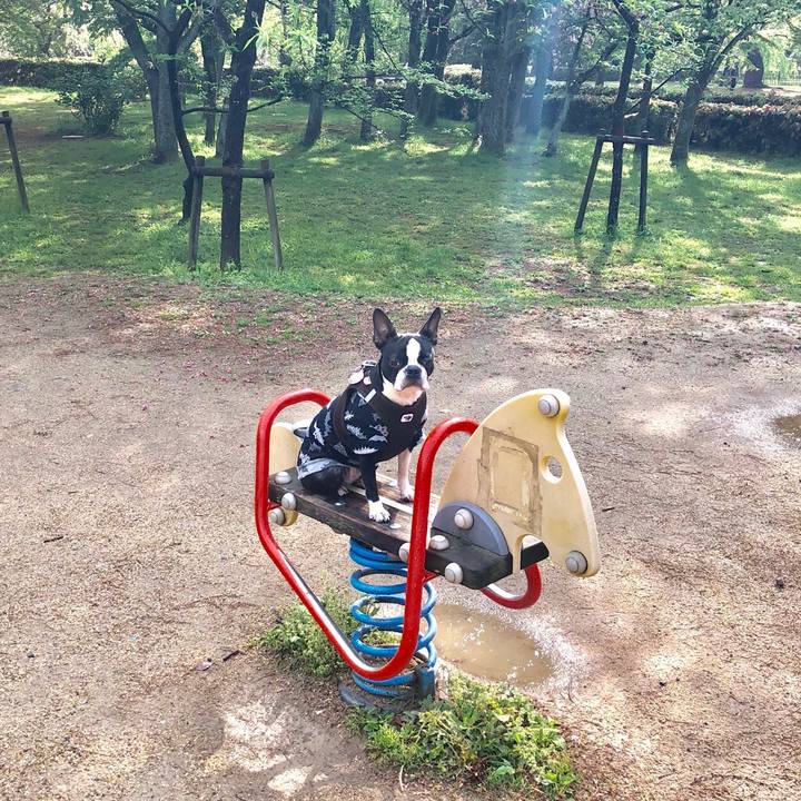 4addc3a3 4fad 4b81 aa44 a4defc722a48 1523495398437